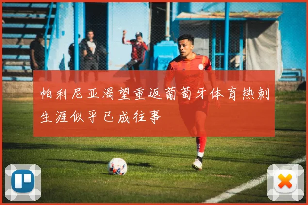 帕利尼亚渴望重返葡萄牙体育热刺生涯似乎已成往事